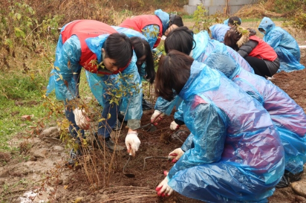 이촌한강공원에서 재규어랜드로버코리아 직원들이 봉사활동을 하고 있다 사진:서울그린트러스트제공