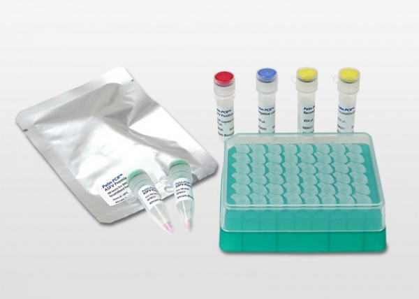 Palm PCR™ ASFV Fast PCR Kit 제공:아람 바이오시스템