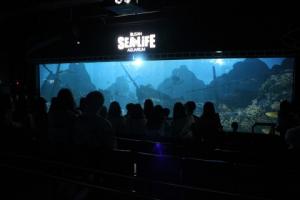 SEA LIFE 부산아쿠아리움, 바닷속 이색 영화관 ‘딥시네마월드’ 신개념 공연 프로그램으로 인기