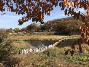 홍천군 동화마을, 주민들이 찾은 전통문화 '섶다리 만들기' 행사 열려