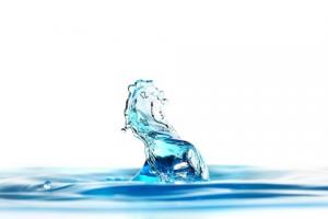 워터 드롭 아티스트 정미수 작가, 물방울과 회화가 결합된 사진전 ‘나를 위한 동화’ 전시