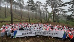 한국중앙자원봉사센터-산림청, 강릉시에서 ‘평화의 나무 심기’ 진행... 산불 피해 복구 지원