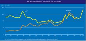 세계식량가격지수 6개월 연속 하락...곡물 가격지수는 소폭 상승