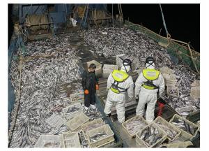해수부, 제주 인근 해상서 불법조업 혐의 중국 쌍타망어선 4척 나포