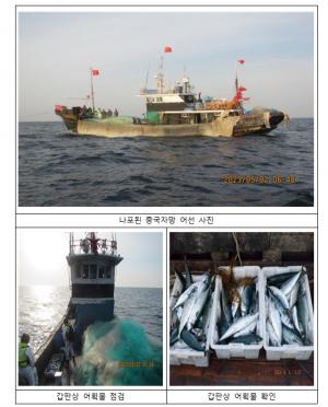 해수부, 홍도 인근 해상서 '불법조업' 중국 자망어선 1척 나포... 포획 금지 고등어 58kg 불법 포획