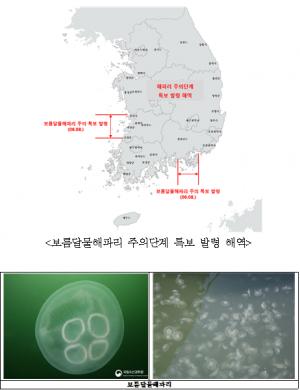 전북-경남 해역 보름달물해파리 확인... 주의단계 특보 발령